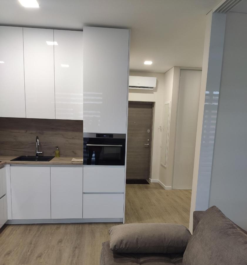 Apartment Ainiai Panevėžys Dış mekan fotoğraf