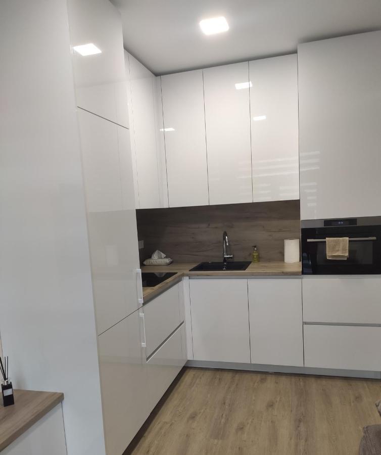 Apartment Ainiai Panevėžys Dış mekan fotoğraf